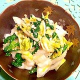 ちょちょいと作れる白菜と小松菜の浅漬け風